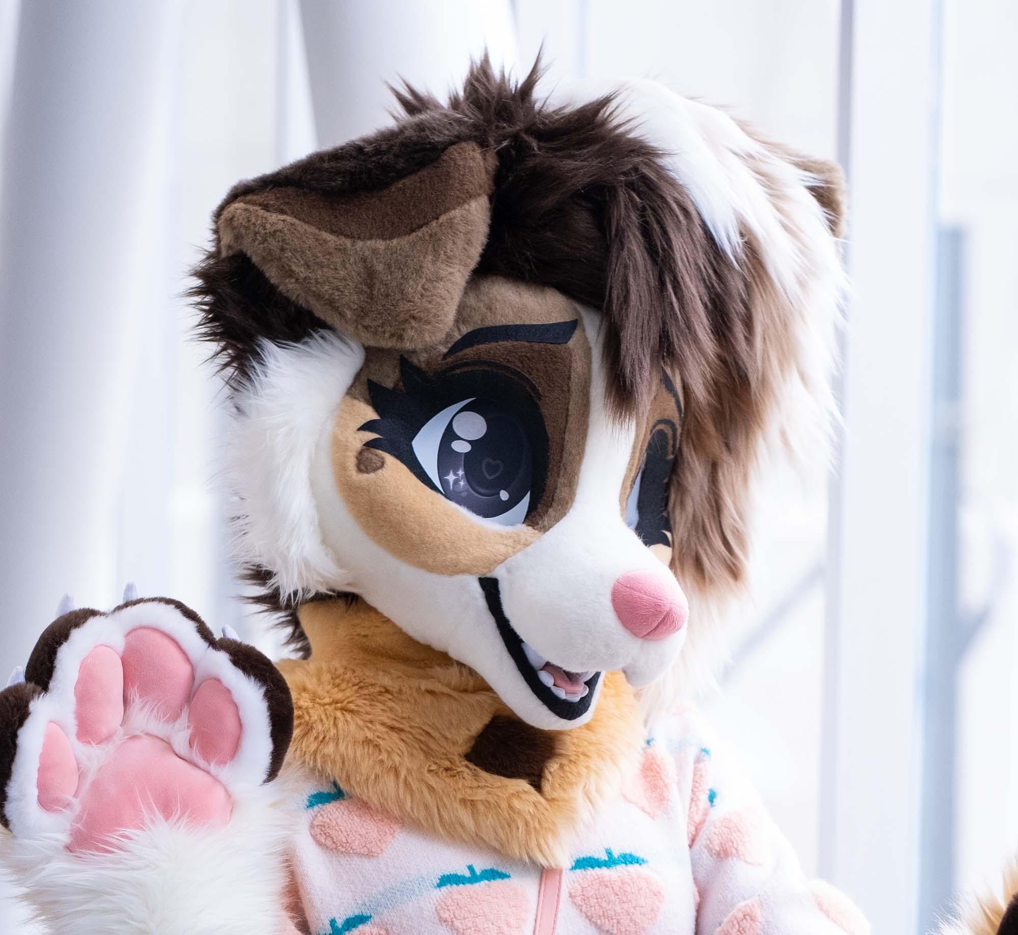 Finished suit using the Toony Canine base