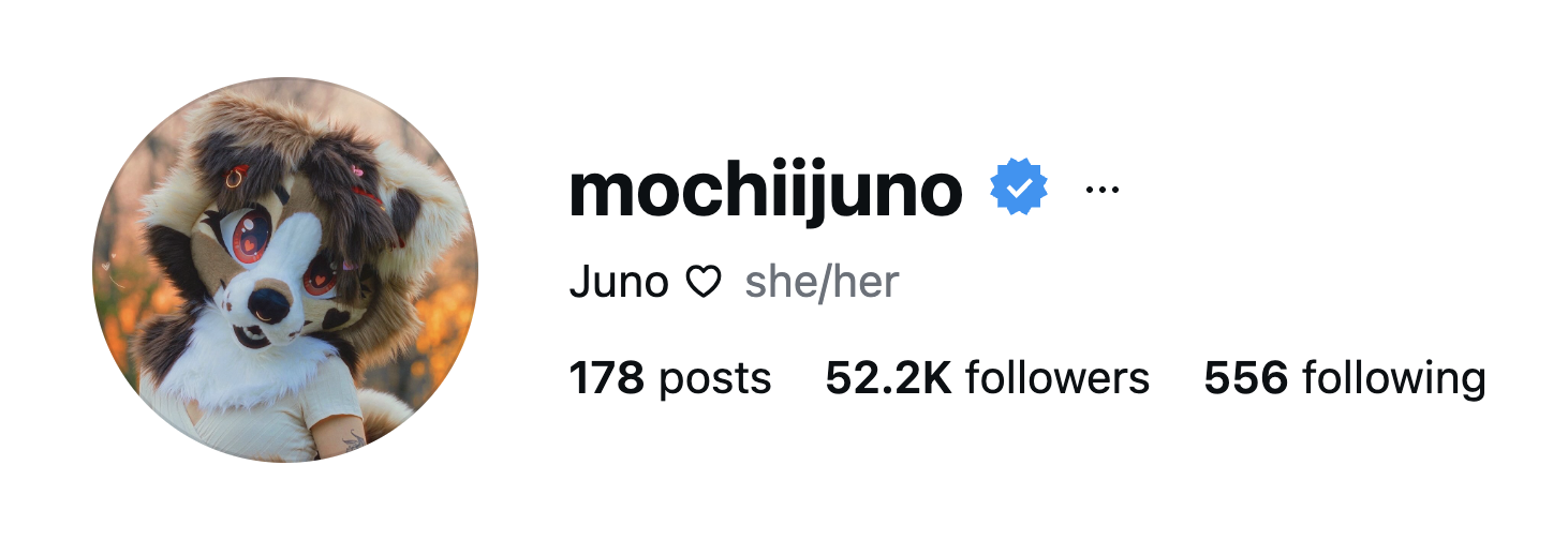 mochiijuno Instagram profile