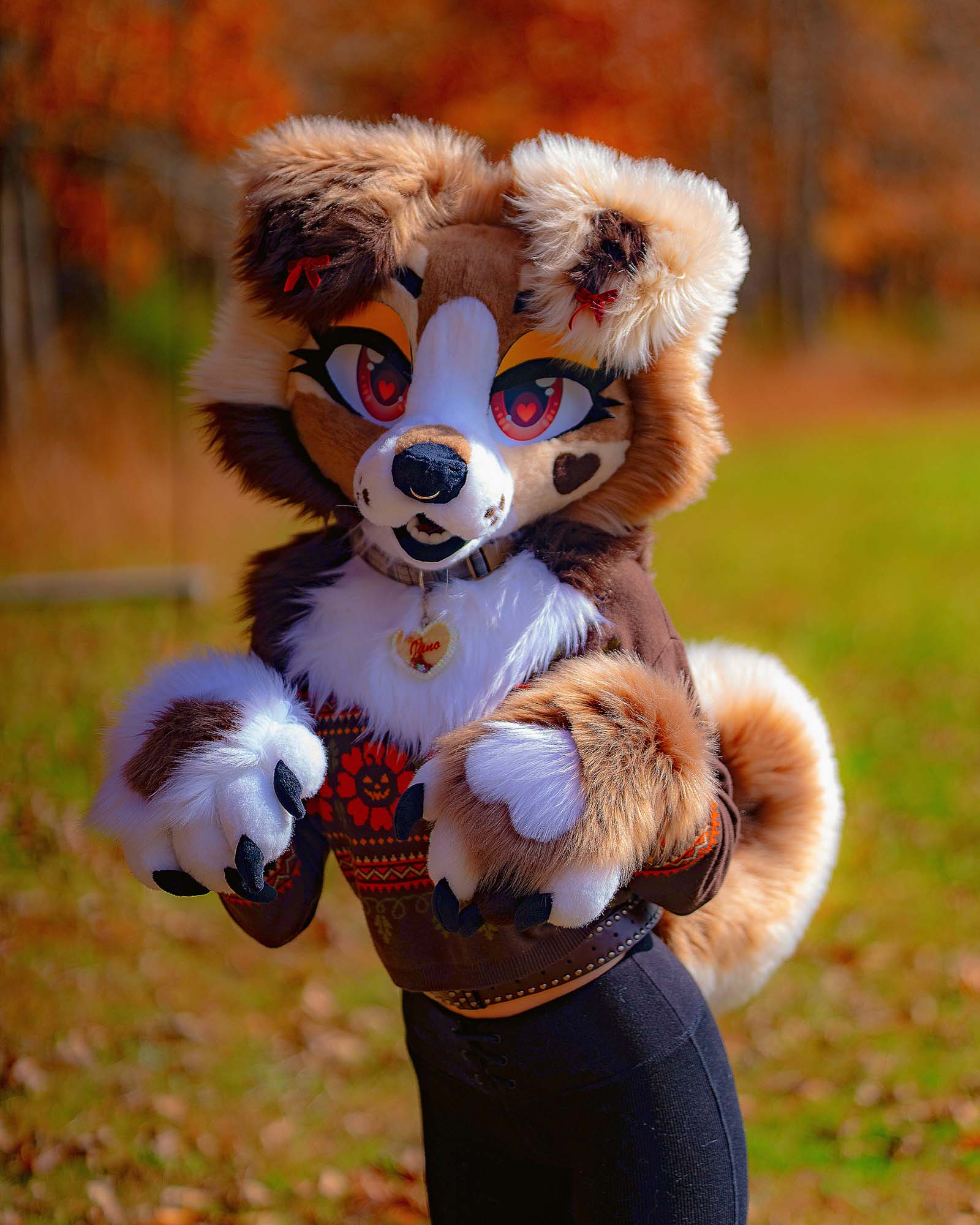 mochiijuno suit